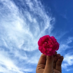 Элина Кудаева