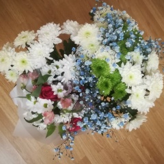 Александра Богданова, 11.02, Санкт-Петербург