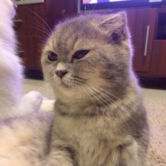 Алишер Медетбеков, Алматы