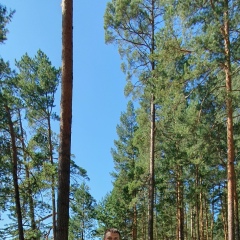 Николай Касьяненко, 23.01, Барнаул