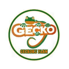 Gilang Mangini, 19.04.2005