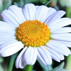 Мария Воробьева, 04.09.1987, Одинцово