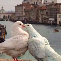 Нунэ Микаелян, 18.10.1977, Ереван