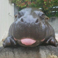 Мария Popova, 03.09.1985, Москва