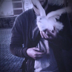 Xxx H, Ставрополь