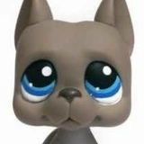 Виктория , 01.10, Апатиты