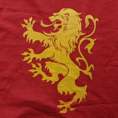 Максим Зяблов, 09.07, Dublin