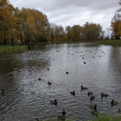 Лариса Пересторонина, 01.01, Санкт-Петербург