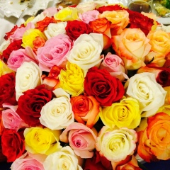 Akmaral Orinbasarova, Атырау