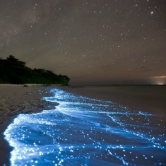 Алексей Сокович, 13.07, Санкт-Петербург