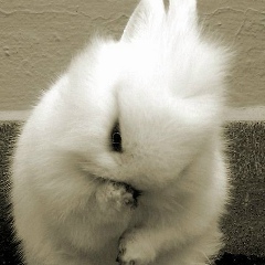 Юлия Воропаева, 10.02, Сатка