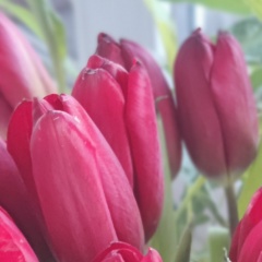 Наталья Крутикова, 11.10.1985, Москва