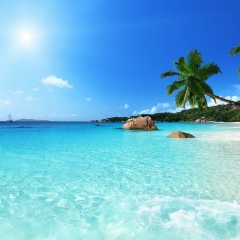 Митя Боцман, 31.10, Санкт-Петербург