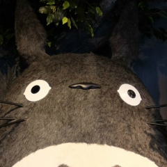 Арсений Хапланов, 25.12, Москва