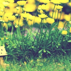 Рустам Шагаев, 12.12.1990, Омск