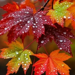 Ирина Сорокина, 07.11.1983