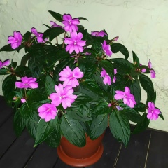 Ольга Волчик, 04.10.1984, Геленджик