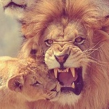 Moncho Amshenyan, 11.01.1989, Москва