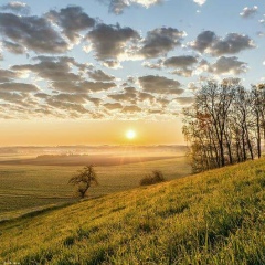 Равиль Куржимбаев, 08.06.1984, Атырау
