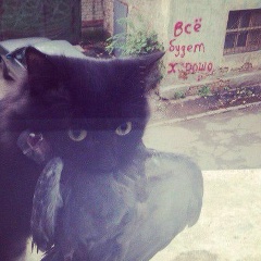 Юрий Мороз, 26.05.2003