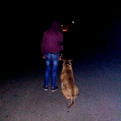 Діма Свішевський