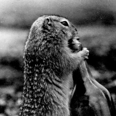 Алексей Барашков, 25.05.1987, Москва