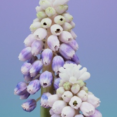 Ками Кагерманова, 28.10