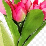 Мария Загвоскина, 08.09.1969, Москва