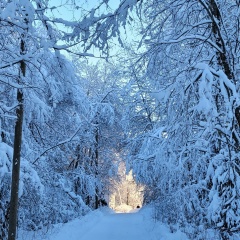 Марина Алексеева, 07.09, Выборг