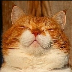 Александр Творческий, 30.01