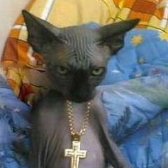 Максим Пак, 12.11.1999, Талдыкорган