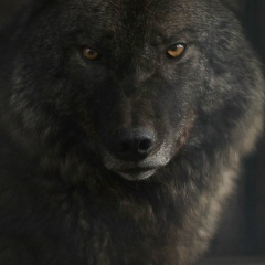 Андрей Неустроев, 16.02.1980, Якутск