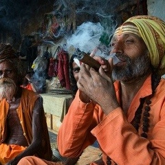 Нестор Дамения, 02.06.1979, Санкт-Петербург