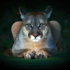 Николай Масленников, 24.08, Семенов