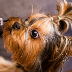 Олеся Павлова, 28.09.1987, Москва