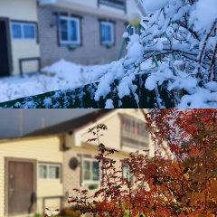 Ирина Чашникова, Вологда