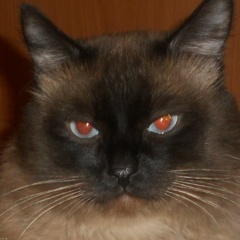 Иван Рупаков, 30.05