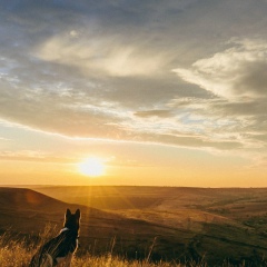 Игорь Сохранич, 09.10.2002