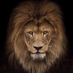 Artur Sh, 30.01, Москва