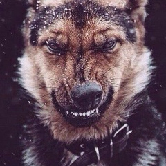 Сергей Политов, 11.03, Москва