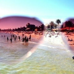 Дмитрий Николаев