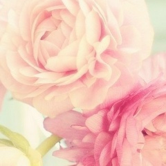 Евгения Аржанова, 08.12