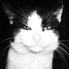 Владимир Тюрин