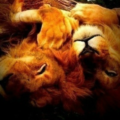 Павел Журба, 11.06, Харьков