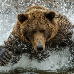 Артём Подшивалов, 15.11.1987, Екатеринбург