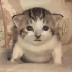 Сергей Горный, 28.01