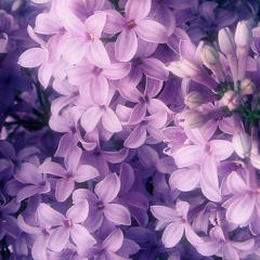 Альбина Зоркина, 22.04, Санкт-Петербург