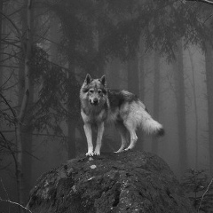 Иван Иванов, 09.09