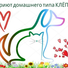 Мария Попова, 25.11.1989, Новосибирск