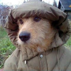 Наталья Приходько, 01.04.1981, Сатка